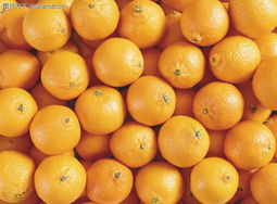 蔬果特寫0169 鏡頭下的自然饋贈(zèng)，與色彩的味覺(jué)遐想